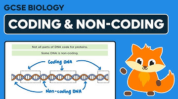 Coding and Non-coding DNA - GCSE Biology