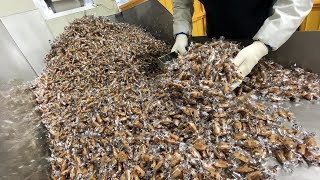 3,000 boxes of Caramel sold a day? 40 Years Old Peanut Caramel Factory, Korean Street Food