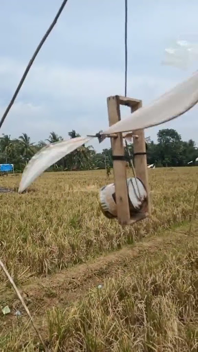 alat yang bermanfaat untuk mengusir burung Pipit di sawah