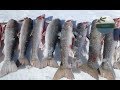 Ice Fishing Maddness & I Only Caught One (South Brook, Adlavik)