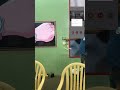 Akuvox E12 Video door phone #home #interiordesign #video door phone #interior #villa #smarthome