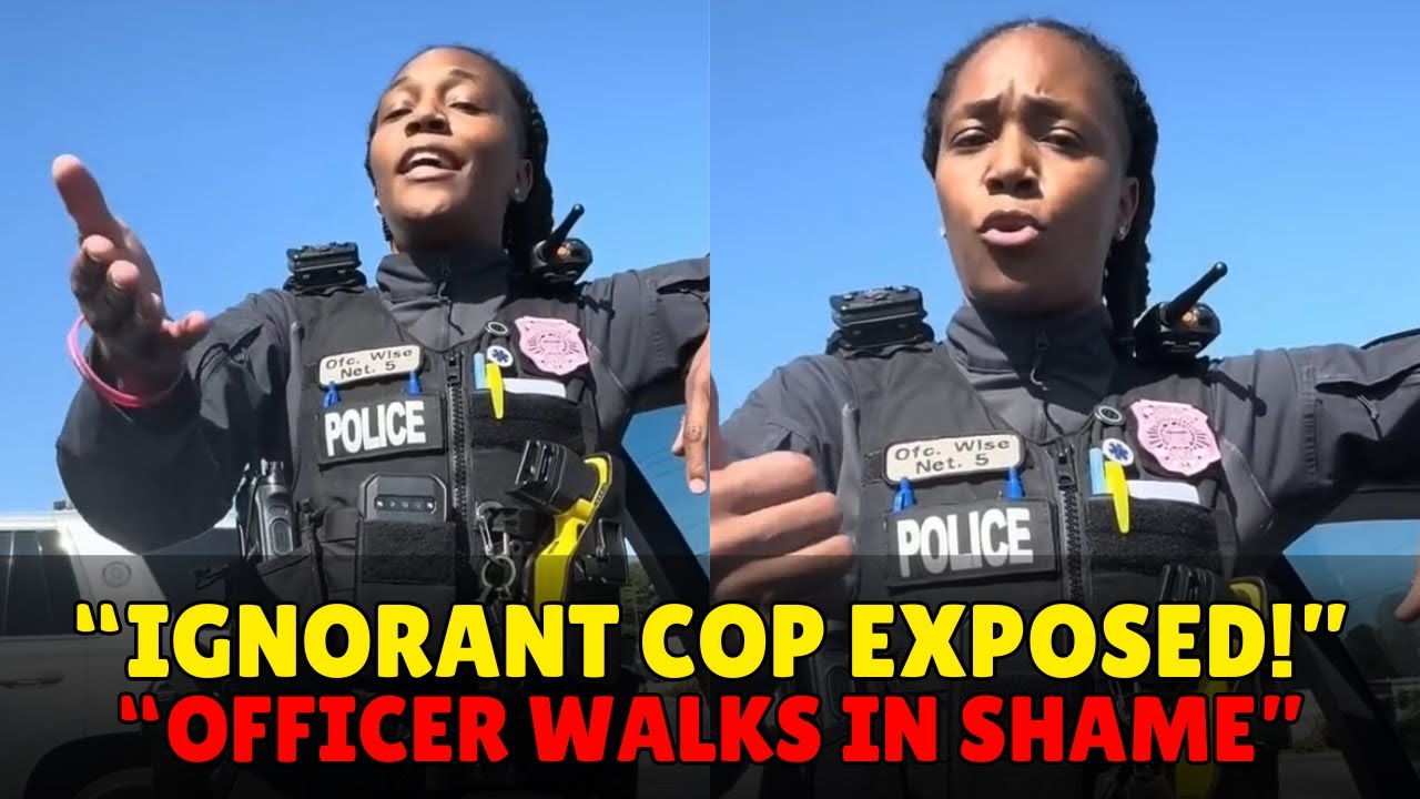 Самое приятное «прогулка позора»: начальница поставила на место недальновидного офицера.