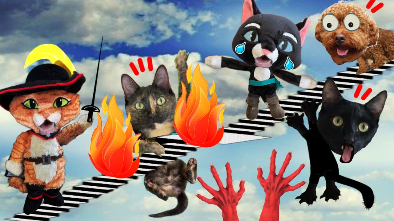 El gato con botas y Kitty vs la escalera del mapa secreto Videos de gatos graciosos Luna y Estrella