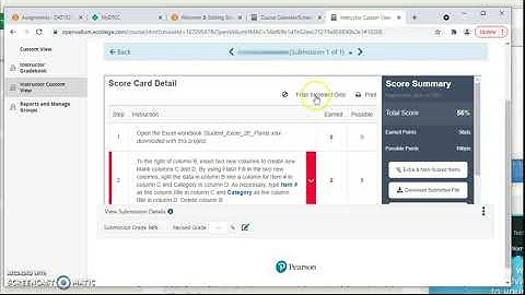 Viewing Grader Project Submissions