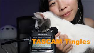 ASMR TASCAM Tingles ft. Cat