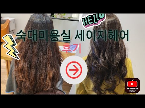 세이지헤어