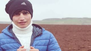 Melek Yüzlü Sahtekarlar 2017