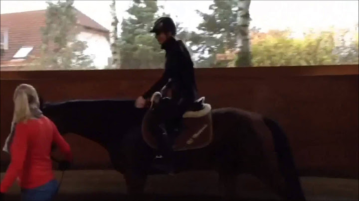 Miss Daisy (La Monte Bellina) und der erste Reitversuch :) I anreiten I REITTV