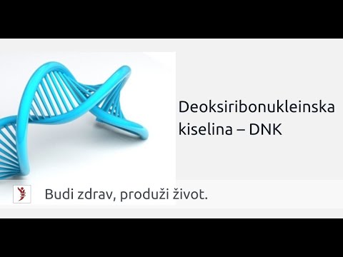 Video: Koji su parovi baza za DNK?