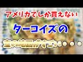 【インディアンジュエリー】ターコイズの宝の地図が発見され・・・【ターコイズ】