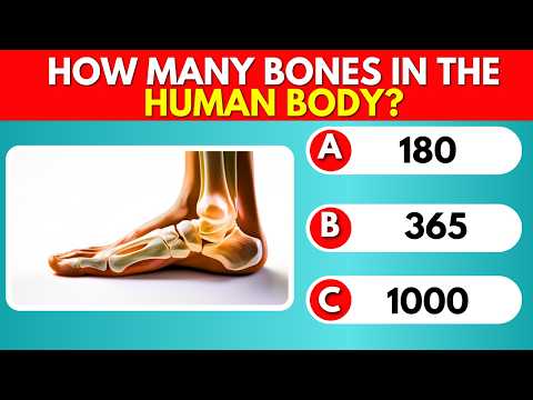 General Knowledge Quiz | Test Your Brain!