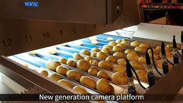 Newtec Optical Sorting Machine, model Celox-P-UHD