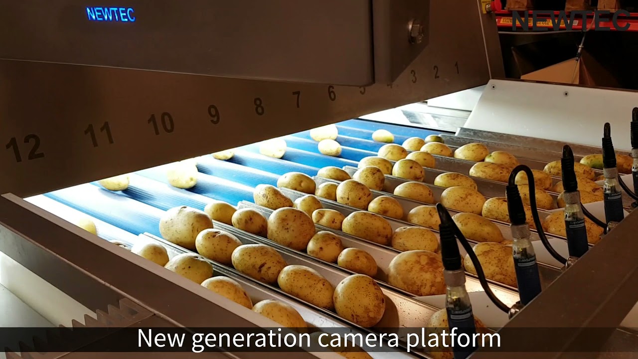 Newtec Optical Sorting Machine, model Celox-P-UHD - YouTube
