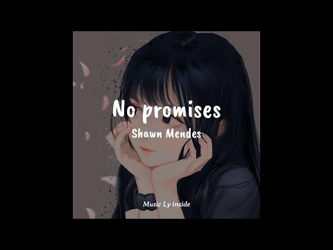 No Promises Shawn Mendes Song Reverb Slower Lyrics 