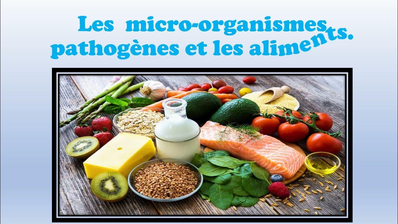 Les micro-organismes pathogènes et les aliments - YouTube