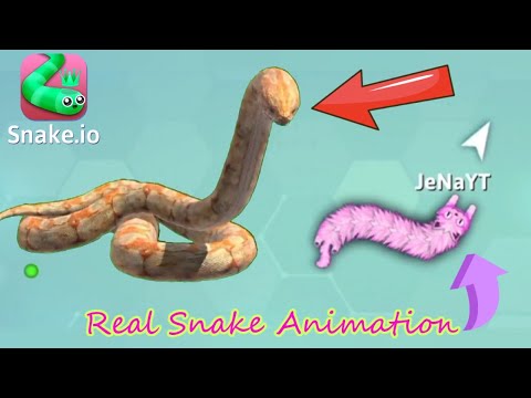 Omg! Real Python