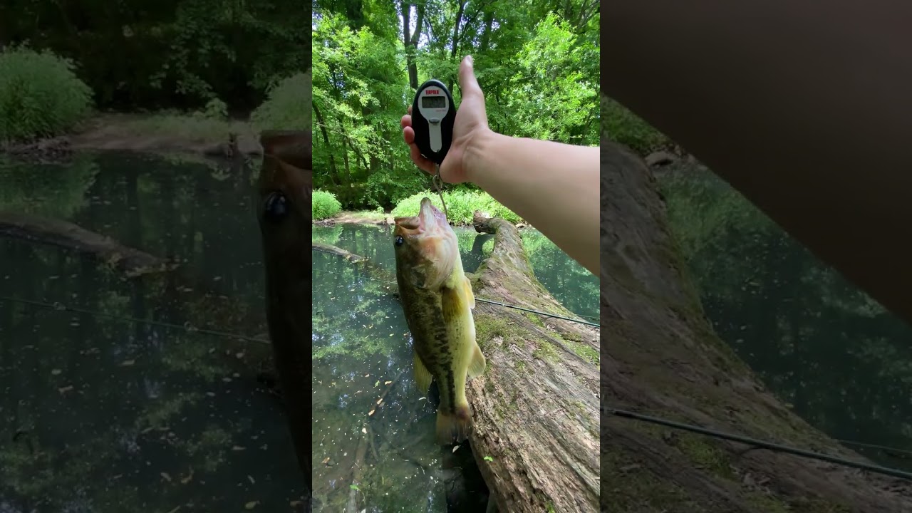 bass fishing