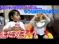 【妊娠報告】パパの第一声「1人やった?」wまた双子?それとも三つ子?それでは人数発表ですwThe pregnancy report