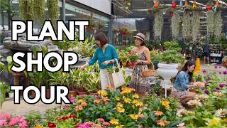 🌿 Plant Lover's Tour | Exploring the Best Plant Shops on Thomson Road