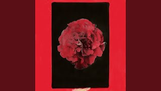 I Came Here to Harm You - Activity