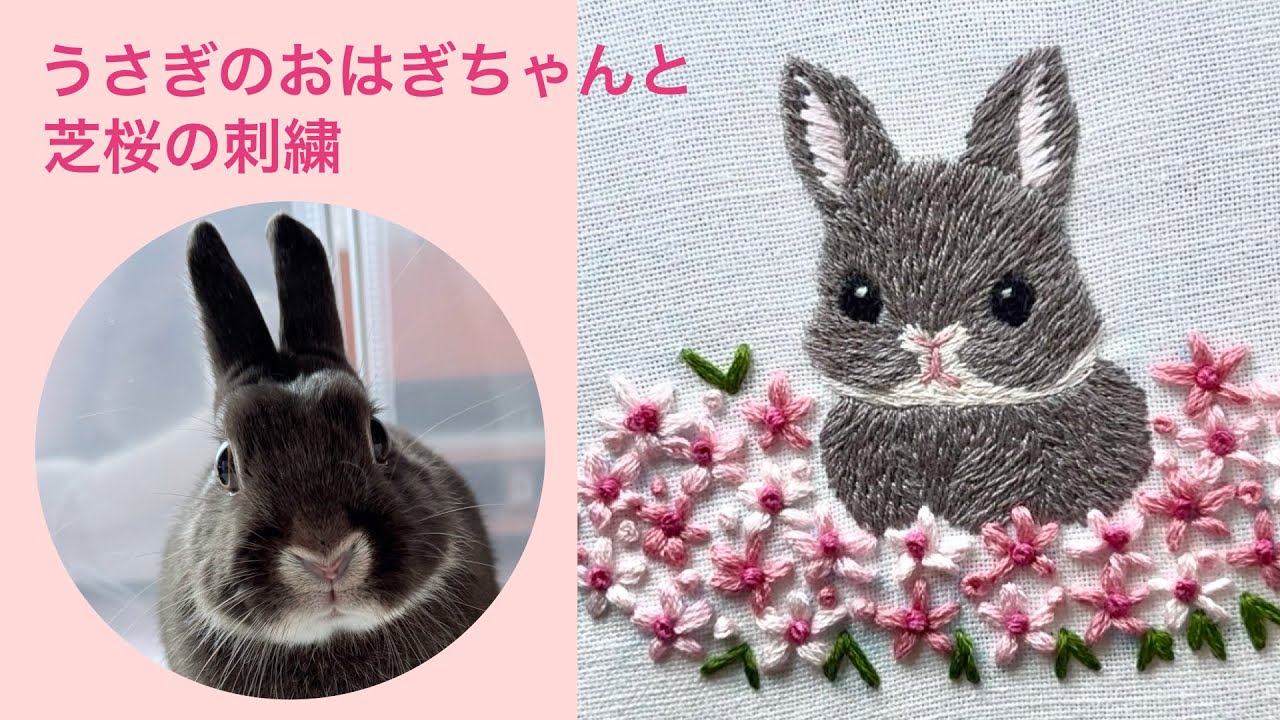 うさぎのおはぎちゃんと芝桜の刺繍｜Embroidery of My Rabbit Ohagi