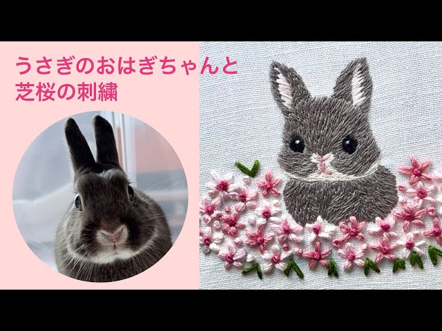 うさぎのおはぎちゃんと芝桜の刺繍｜Embroidery of My Rabbit Ohagi