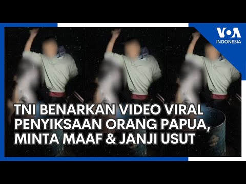 Viral Video Penyiksaan Orang Papua, TNI Akui & Minta Maaf