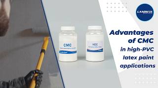 Why CMC Works Better in High PVC Latex Paint Formulations？