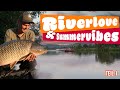 Riverlove & Summervibes 🤙 | Flusskarpfen | Taktik | Tipps - Teil 1