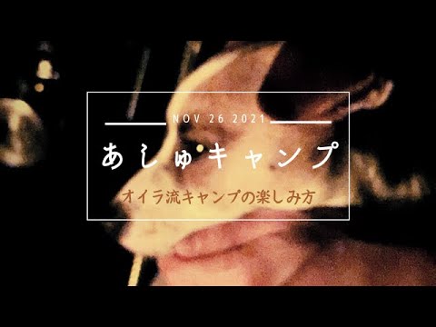 キャンプ大好き。愛犬・ジャックラッセルテリアが二泊目に成長