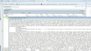 Configuring Monitoring Console in Data Quality