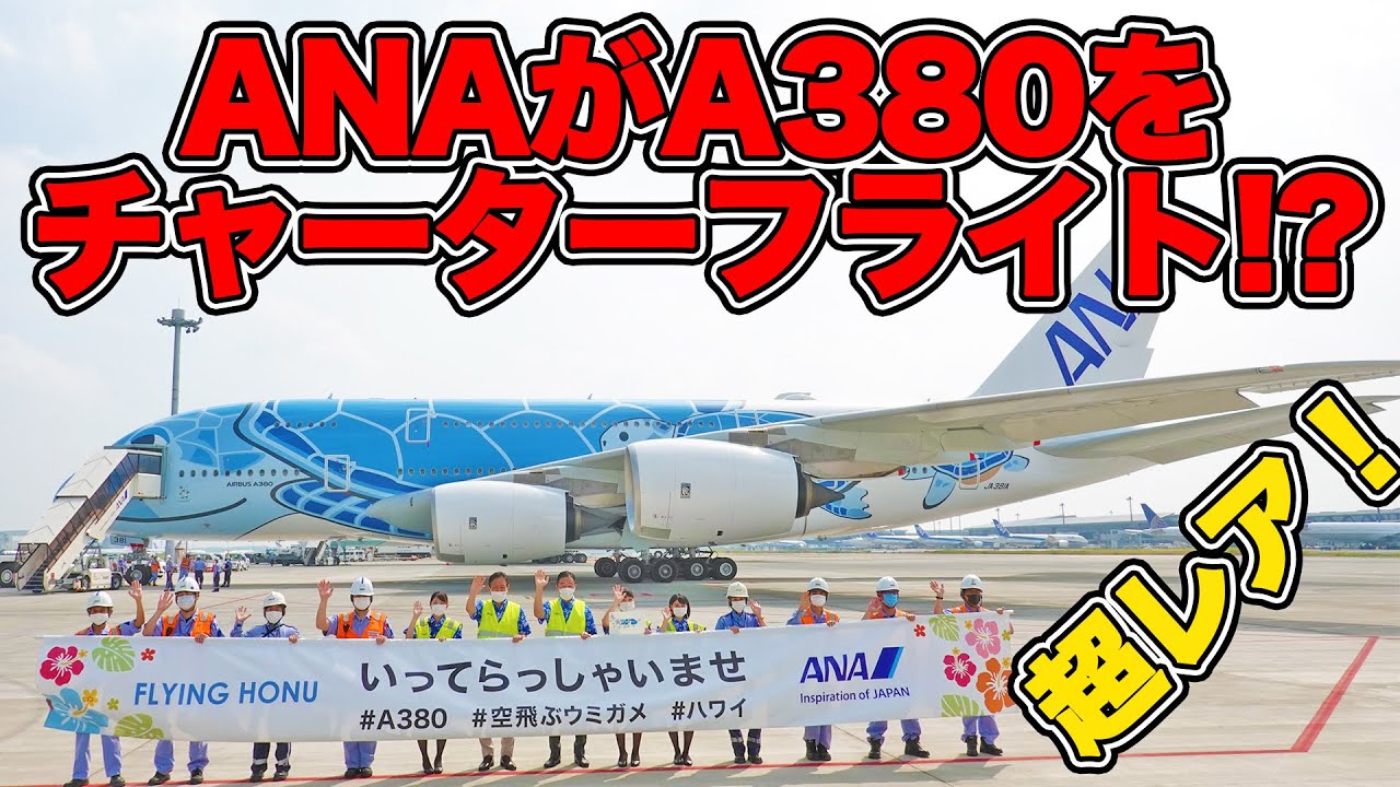 A380】1日のみ復活 ANA「フライングホヌ」が異色のフライト！|乗りもの
