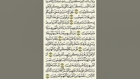 سورة الأنبياء من الآية ٣٦ إلى الآية ٤٤بصوت القارئ ماهر المعيقلي