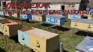 Улей ЛЕЖАК ревизия и работа ✅☝️🐝🐝🐝