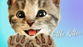 Fun Animal Care Games - Cute Little Kitten Animation Pet Fun Mini Games Apps For Kids Little Kitten