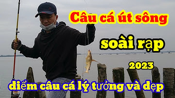 câu cá út sông soài rạp ngày chủ nhật về nấu canh chua, điểm câu khá đẹp / little fish in Vietnam