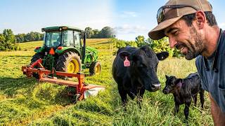 Hay Season is Ending and Calving Season is Beginning!