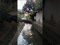 Tenang Banget! Suara Aliran Air di Pinggir Jalan 🌊🍃 #nature