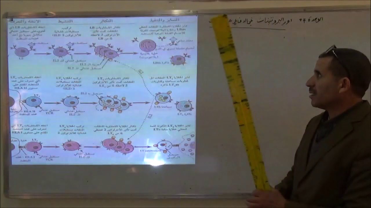 حوصلة الوحدة الرابعة