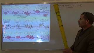 حوصلة الوحدة الرابعة