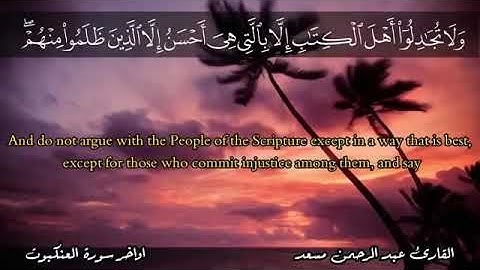 القارئ عبدالرحمن مسعد أواخر سورة العنكبوت.