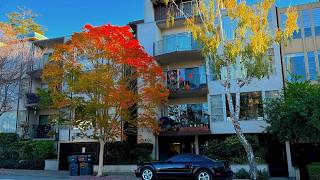 u301 • 5401 Broadway Terrace