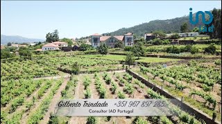 Quinta do Bom Gosto Viana do Castelo