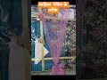 #साड़ी #पेकिंग #तरीके#ideas #explore #evergreen #viralvideo #shadi #mostfamous #motivation #instafam
