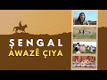 Awazê Çiya Şengal Awazê Çiya Şengal