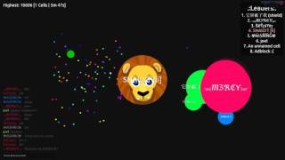 Absorbe.me Crazy Splits Fails, Cagadas