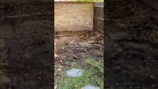 Garden Office Build Day 1, Clearing Ground