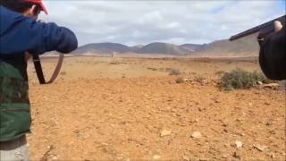 Her Avcı Üstüne Böyle Sürü Gelmesini İster