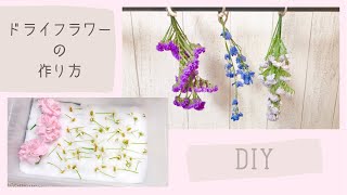 【ドライフラワー】ハンギング法＆シリカ法*ドライフラワーの作り方【DIY】