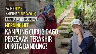 Percakapan Hangat Di Pagi Sejuk Kdanung Curug Dago Desa Di Dalam Kota Bandung